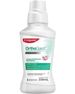 ANTISEP BUC ORTHOGARD 250ML